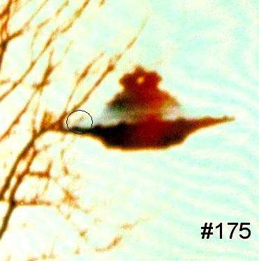 File:Hasen175 Jansen2.jpg