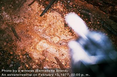 File:One of the small et's purifying the SSSC.jpg