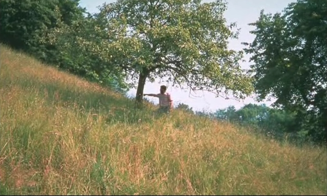 File:Tree that billy shot1.jpg